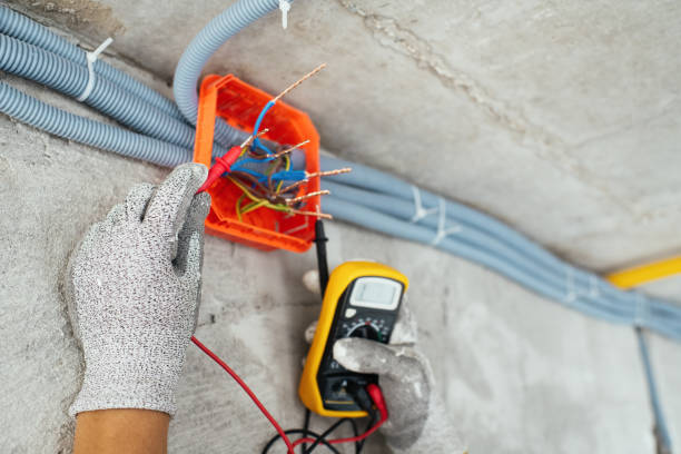 Best Local Electrician Companies  in Key Vista, FL